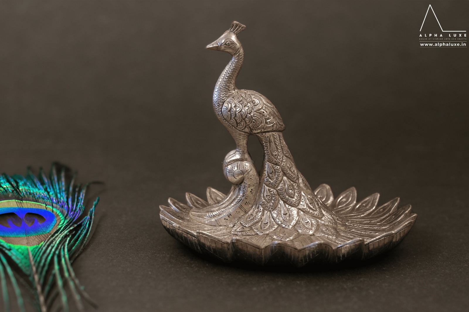 WhatsApp Image 2023-10-21 at 11.50.00 AM (37).jpeg